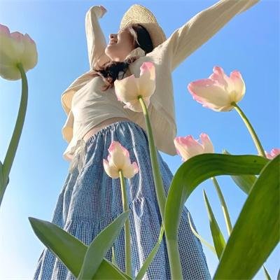 毒枭:墨西哥第二季