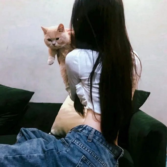 篮球之心